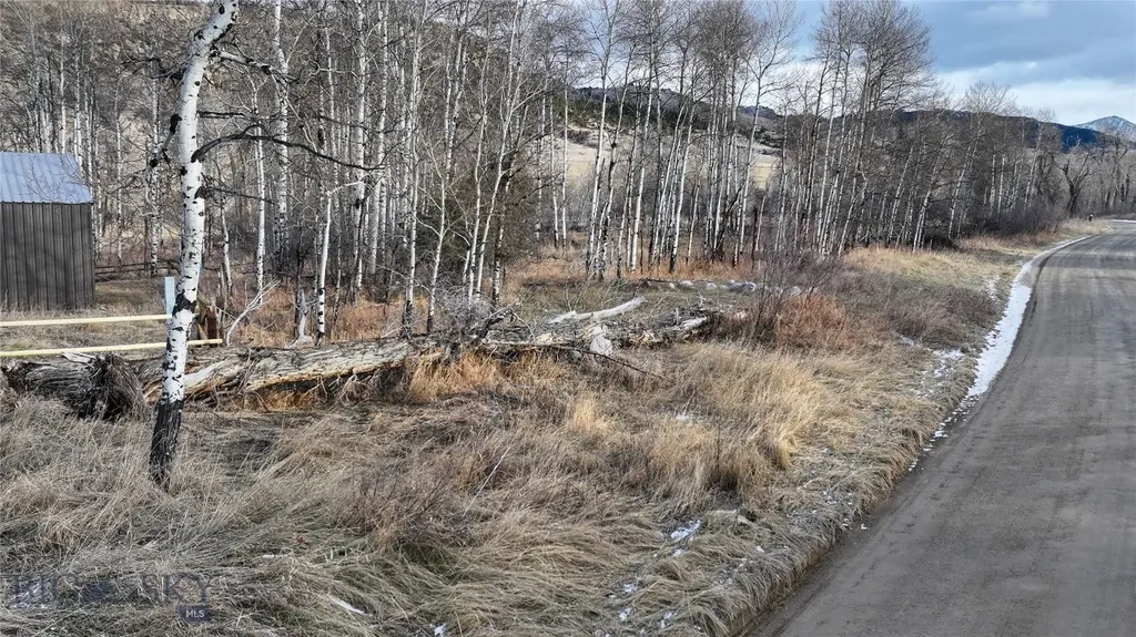 Tbd East Boulder Road Mcleod MT 59052