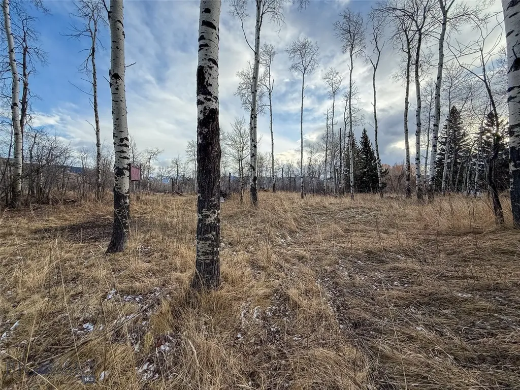 Tbd East Boulder Road Mcleod MT 59052
