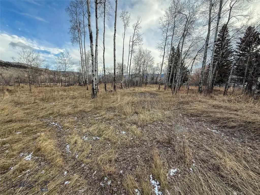 Tbd East Boulder Road Mcleod MT 59052