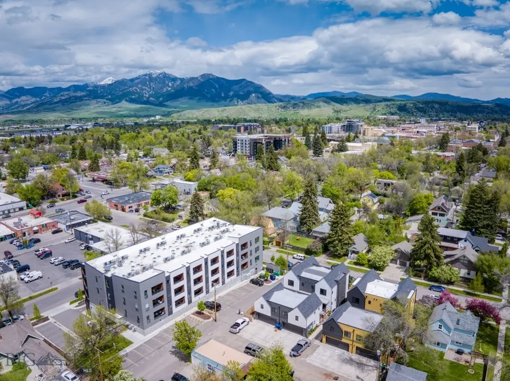 718 W Babcock Street Bozeman MT 59715