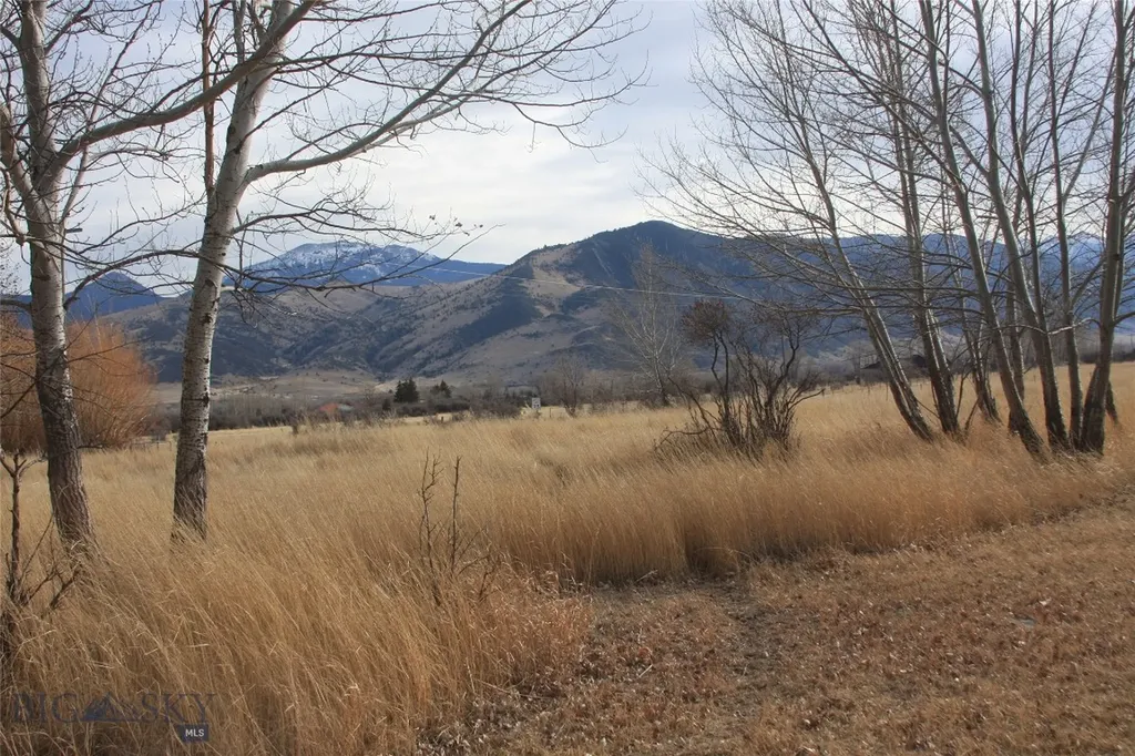 130 Parrot Castle Road Whitehall MT 59759