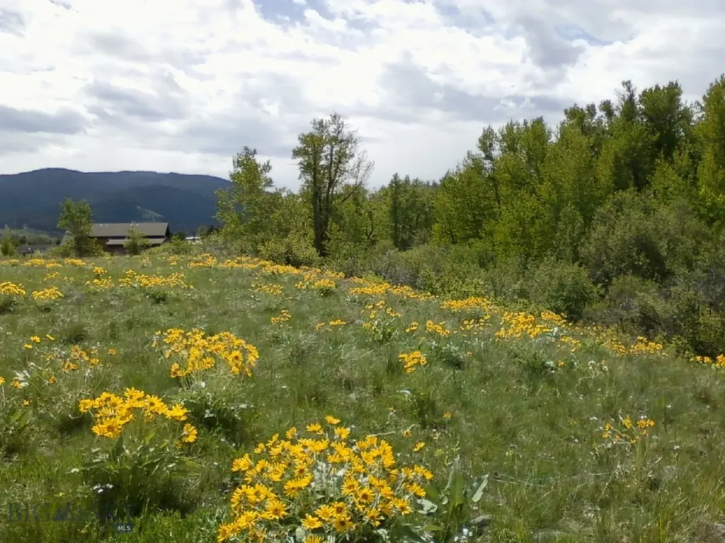 779 Cayuse Trail Bozeman MT 59715