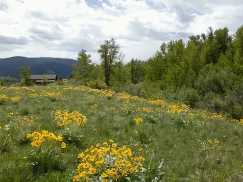 779 Cayuse Trail Bozeman MT 59715