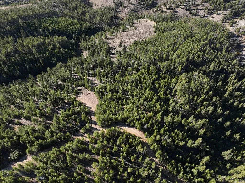 Lot 2 Ruby Mine Road Butte MT 59701