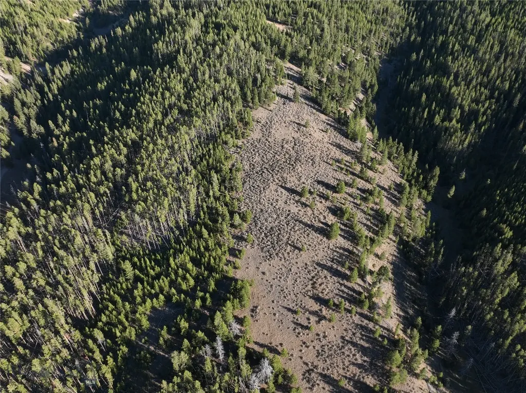 Lot 2 Ruby Mine Road Butte MT 59701
