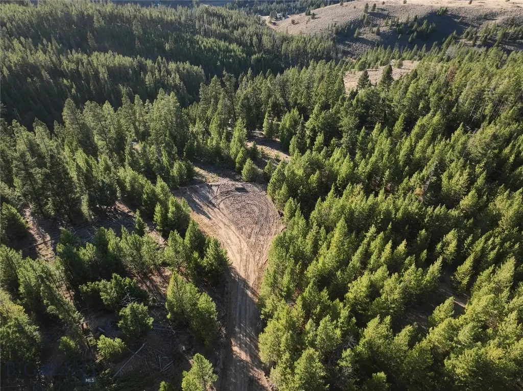 Lot 2 Ruby Mine Road Butte MT 59701