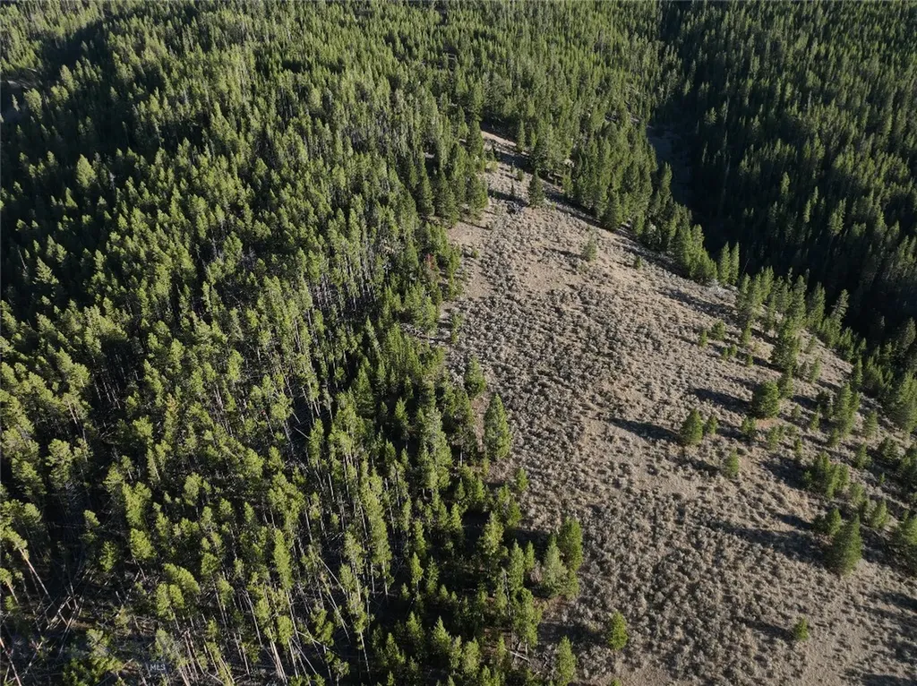 Lot 2 Ruby Mine Road Butte MT 59701