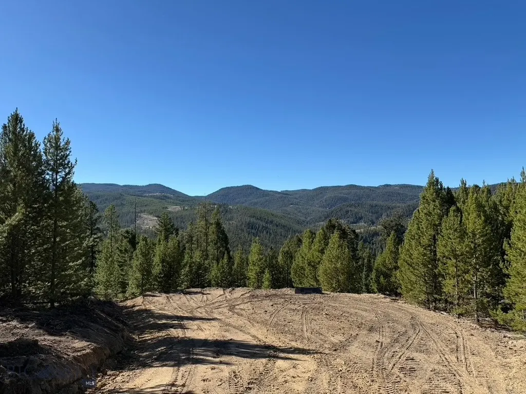 Lot 2 Ruby Mine Road Butte MT 59701