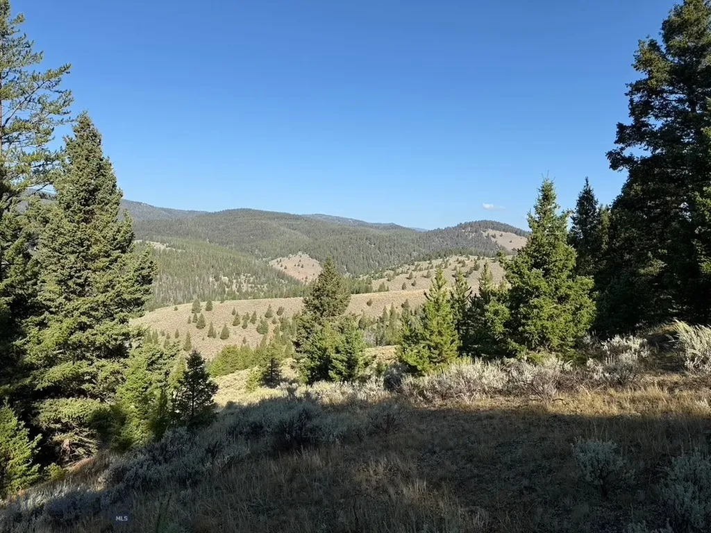 Lot 2 Ruby Mine Road Butte MT 59701