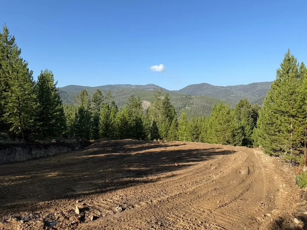 Lot 2 Ruby Mine Road Butte MT 59701