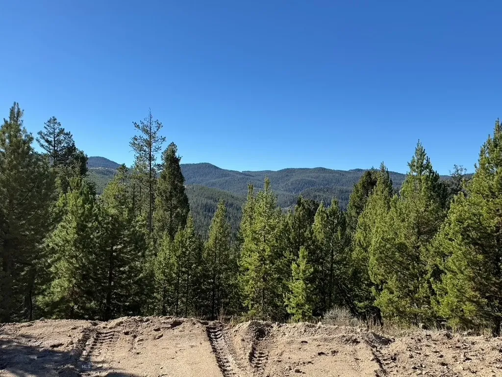 Lot 2 Ruby Mine Road Butte MT 59701