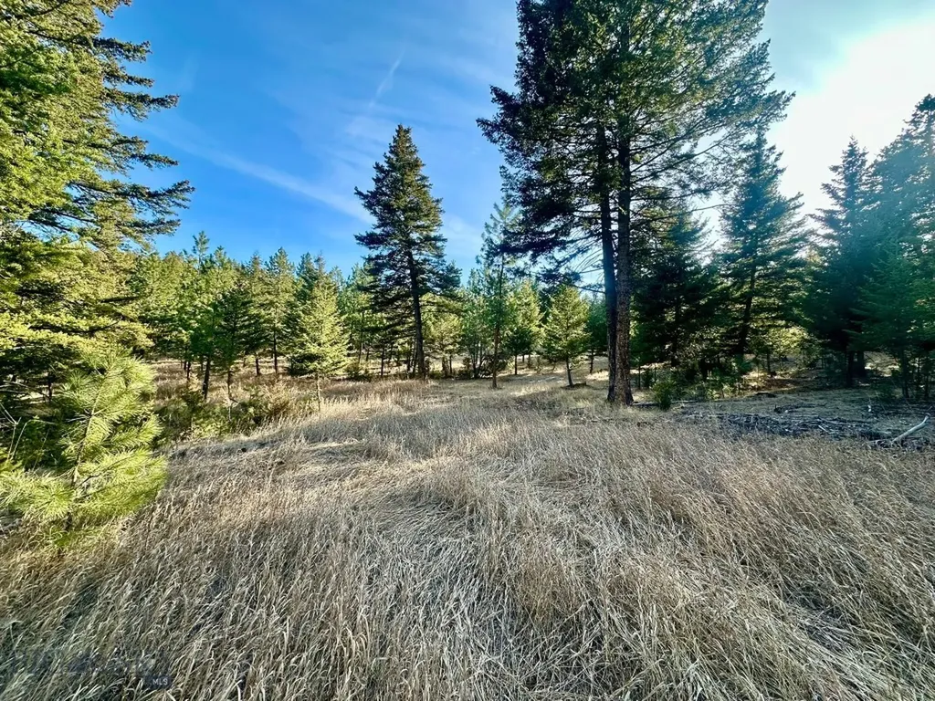 Tbd Martinez Gulch Road Clancy MT 59634