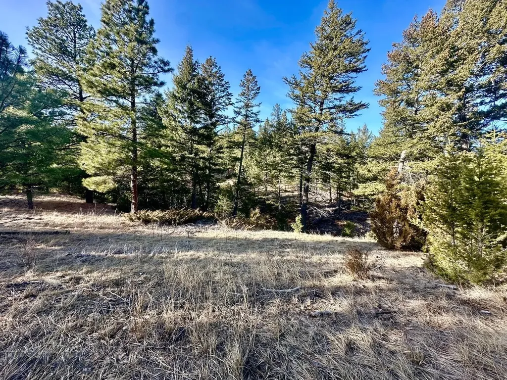 Tbd Martinez Gulch Road Clancy MT 59634