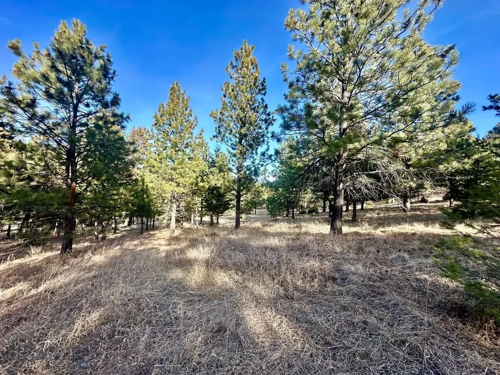 Tbd Martinez Gulch Road Clancy MT 59634