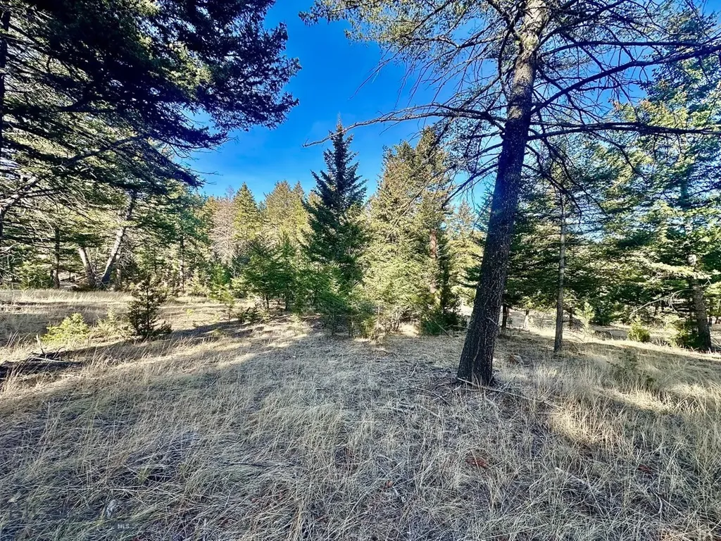 Tbd Martinez Gulch Road Clancy MT 59634