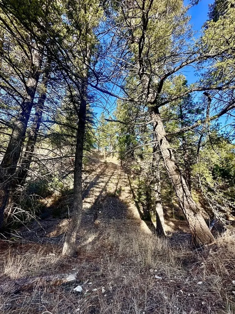 Tbd Martinez Gulch Road Clancy MT 59634