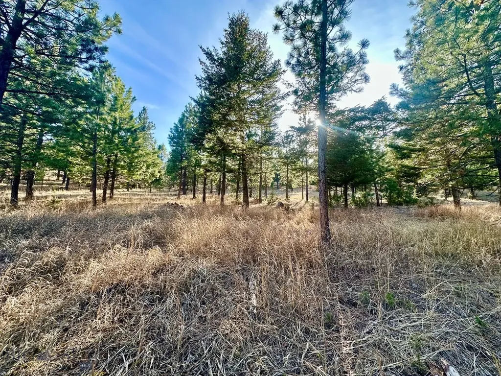 Tbd Martinez Gulch Road Clancy MT 59634