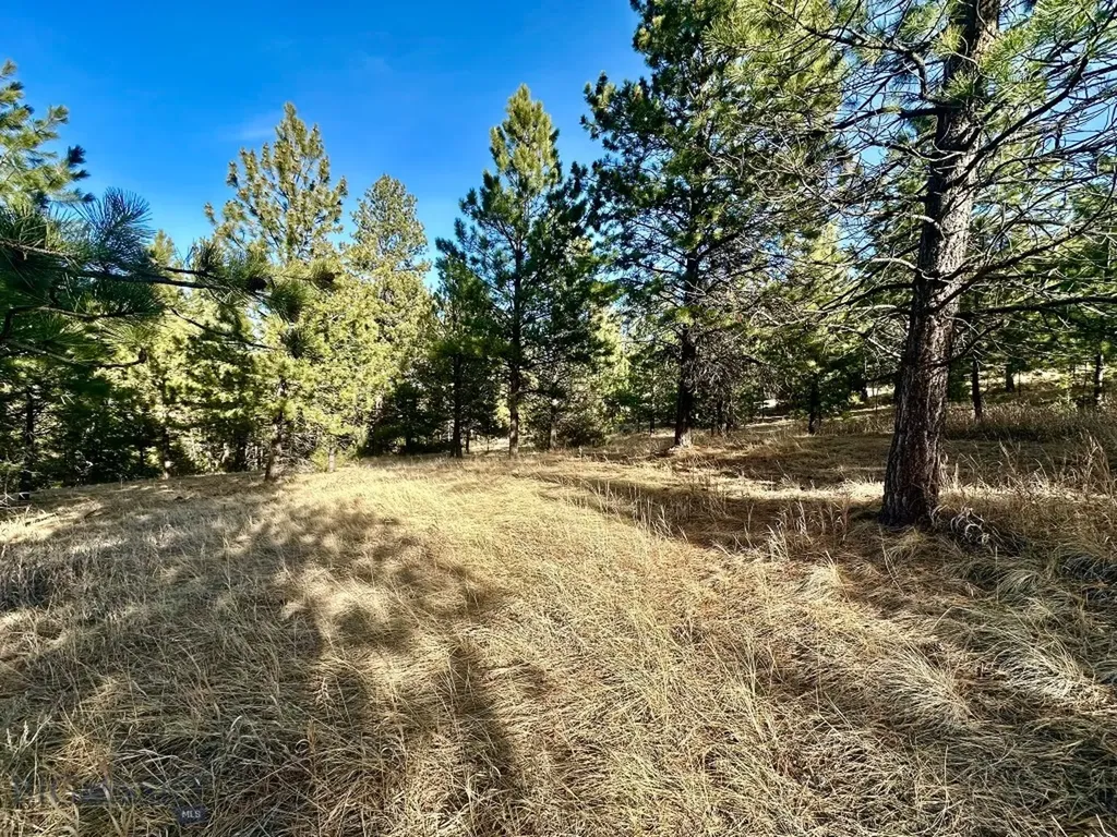 Tbd Martinez Gulch Road Clancy MT 59634