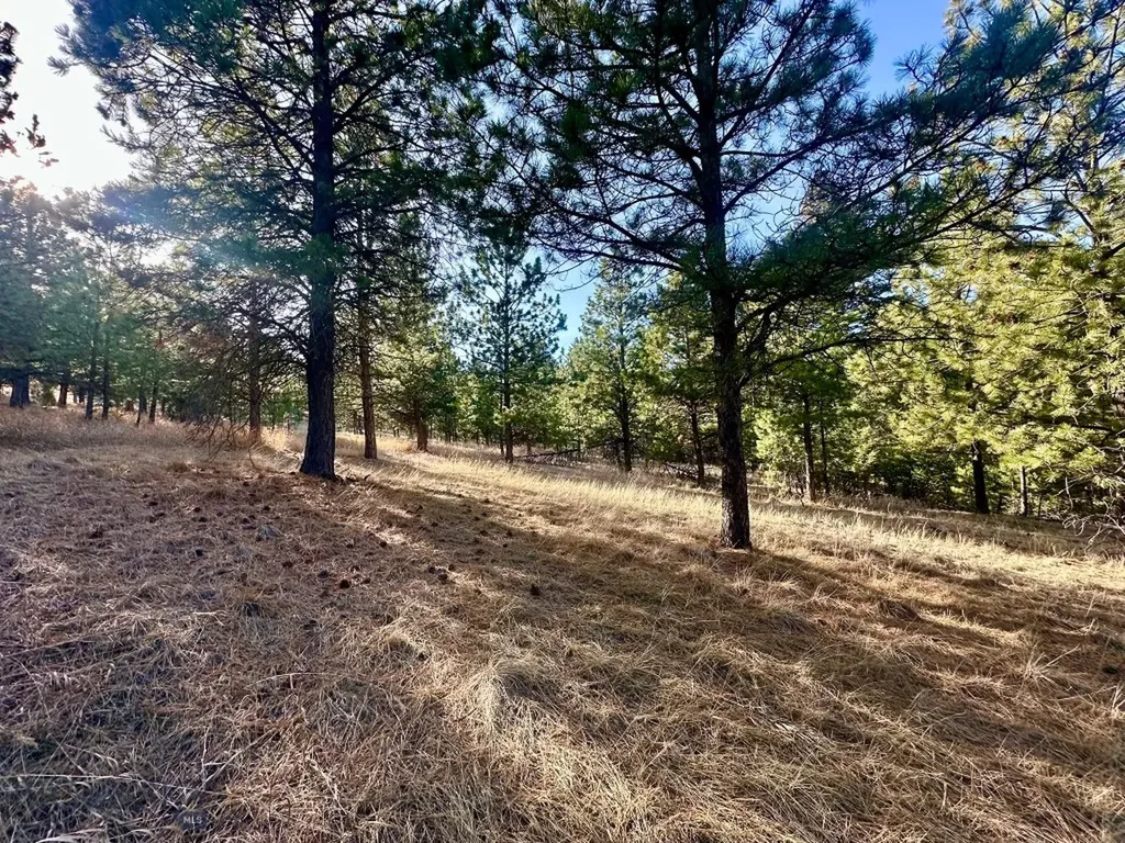 Tbd Martinez Gulch Road Clancy MT 59634
