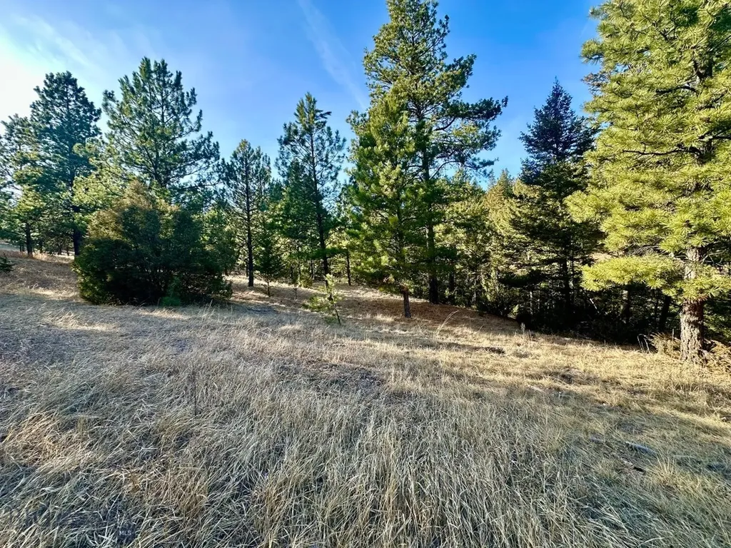 Tbd Martinez Gulch Road Clancy MT 59634
