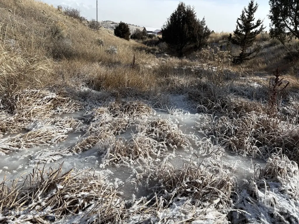 Lot 171 Dry Creek Trail Ennis MT 59729