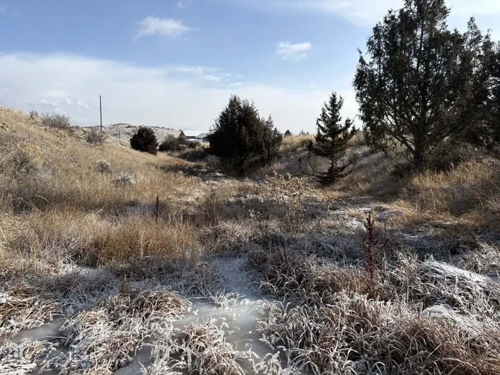 Lot 171 Dry Creek Trail Ennis MT 59729