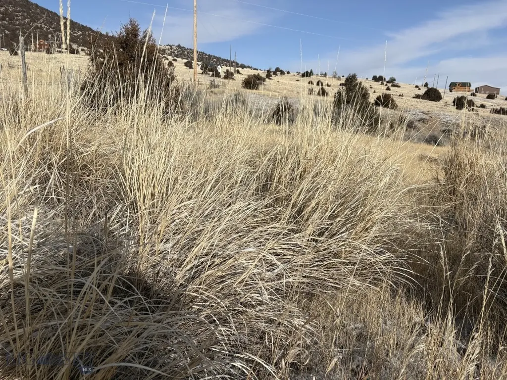 Lot 171 Dry Creek Trail Ennis MT 59729