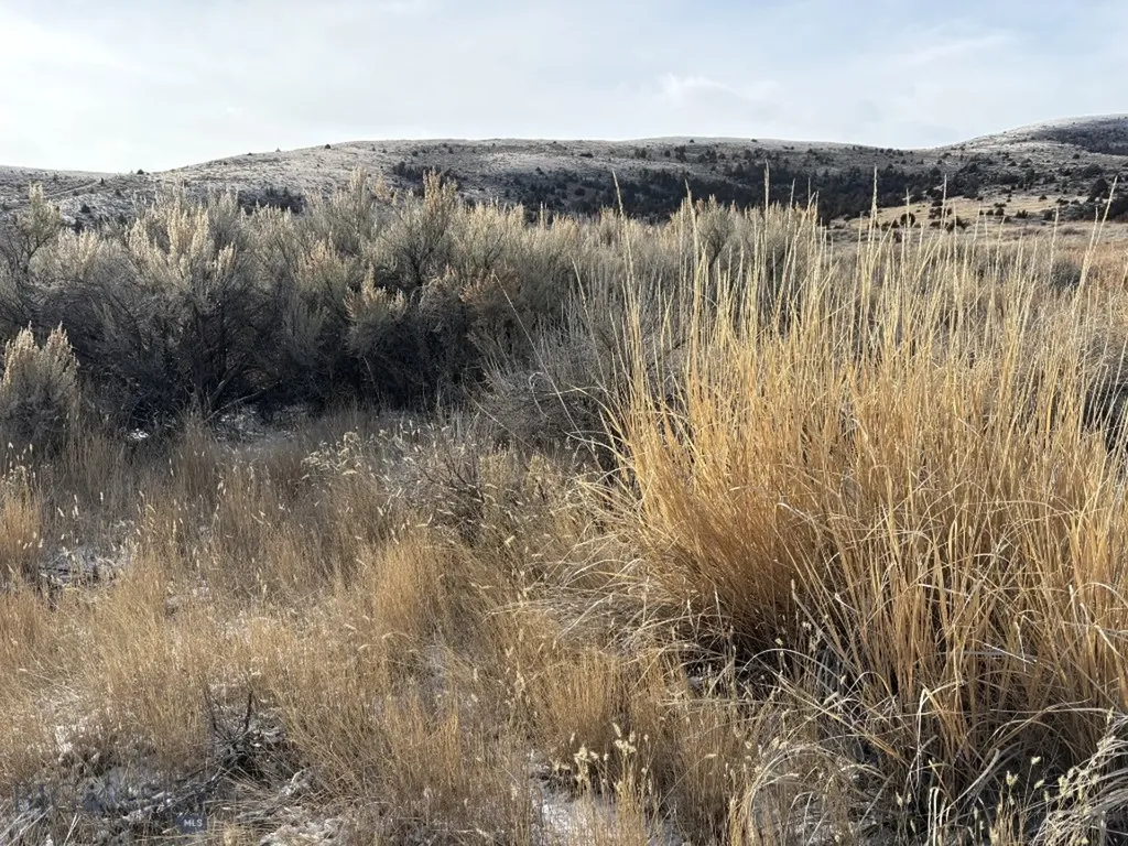 Lot 171 Dry Creek Trail Ennis MT 59729