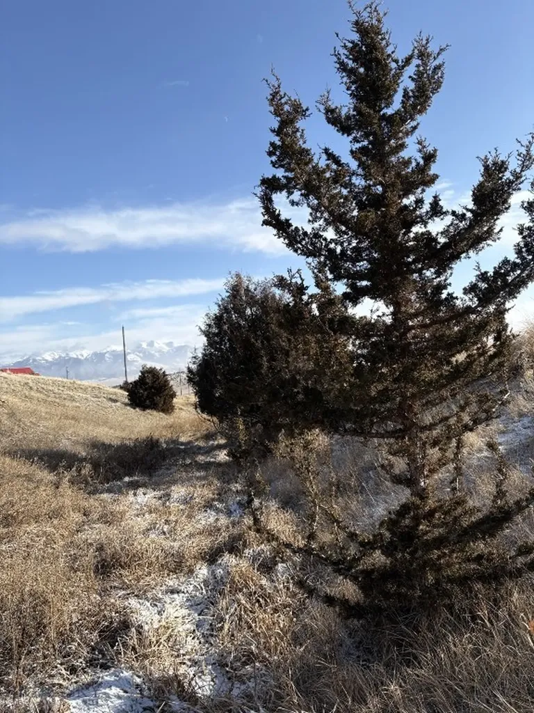 Lot 171 Dry Creek Trail Ennis MT 59729