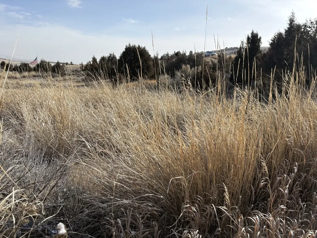 Lot 171 Dry Creek Trail Ennis MT 59729