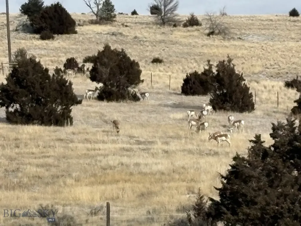 Lot 171 Dry Creek Trail Ennis MT 59729