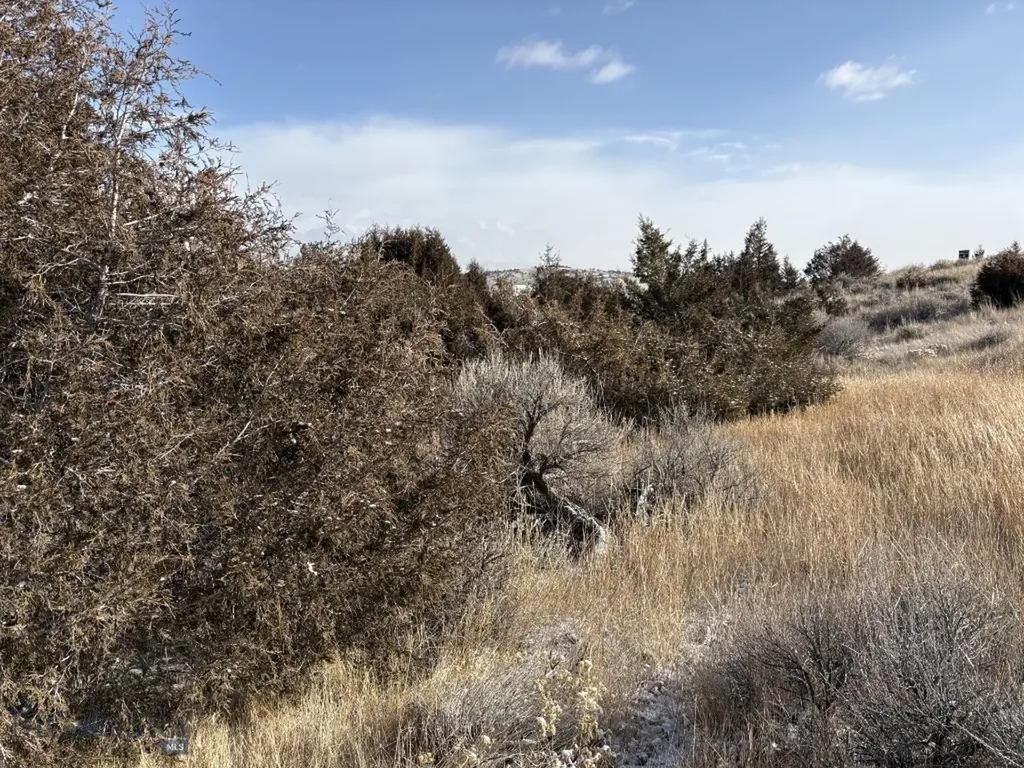 Lot 171 Dry Creek Trail Ennis MT 59729