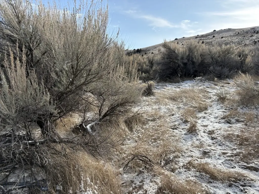 Lot 171 Dry Creek Trail Ennis MT 59729