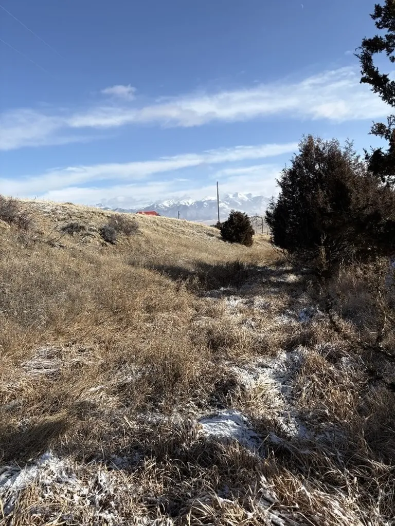 Lot 171 Dry Creek Trail Ennis MT 59729