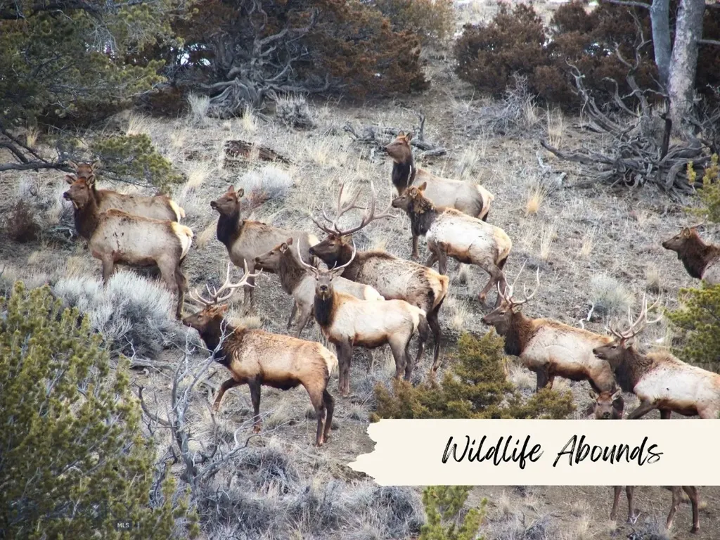 3000 Nixon Gulch Road Manhattan MT 59741