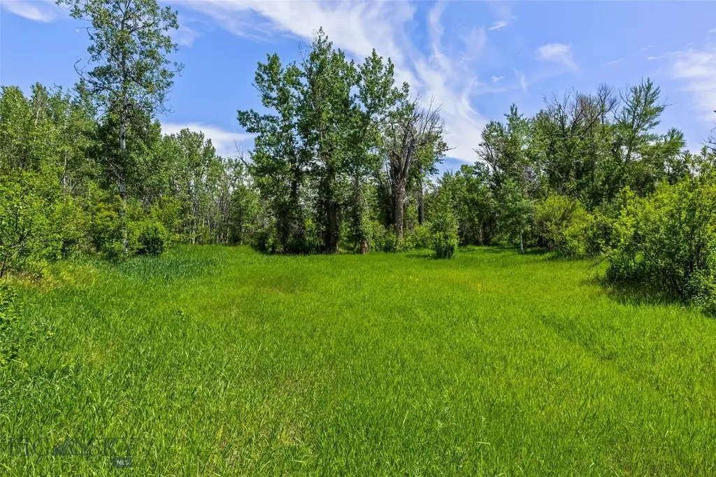 65 Rocky Creek Lane Clyde Park MT 59047
