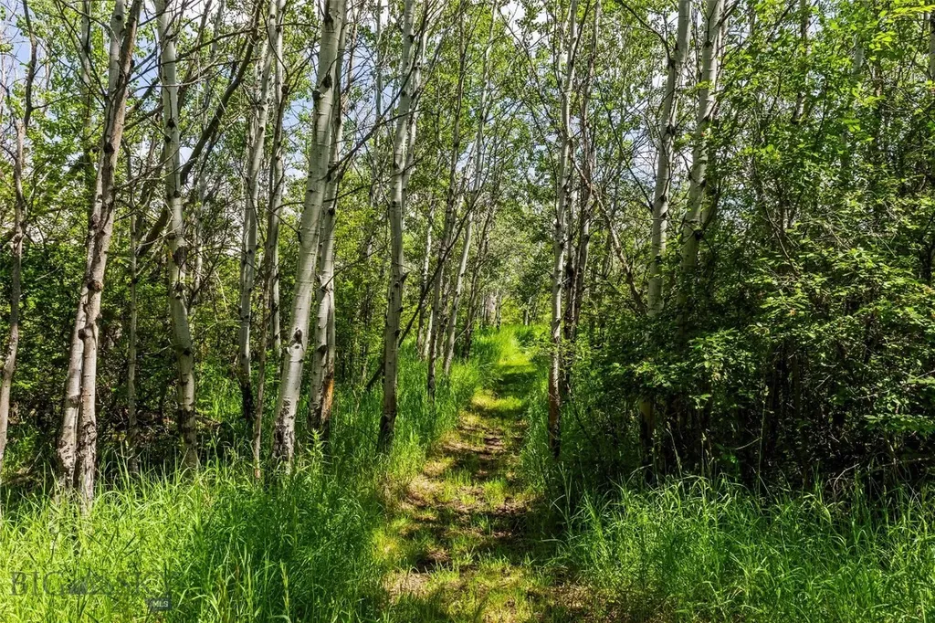 65 Rocky Creek Lane Clyde Park MT 59047