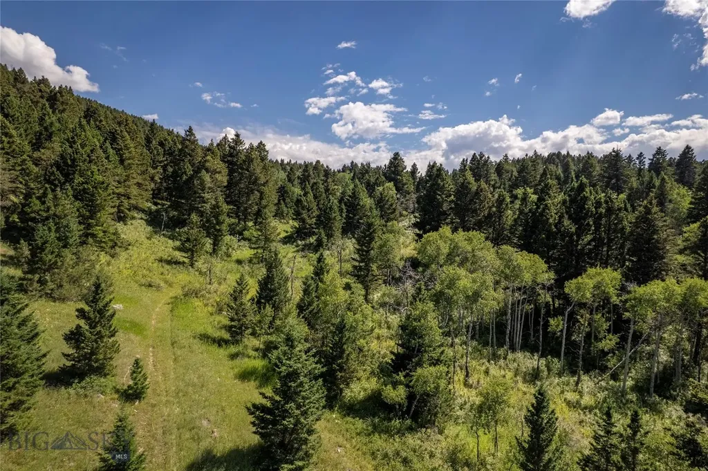 Tbd Livingston Peak Road Livingston MT 59047