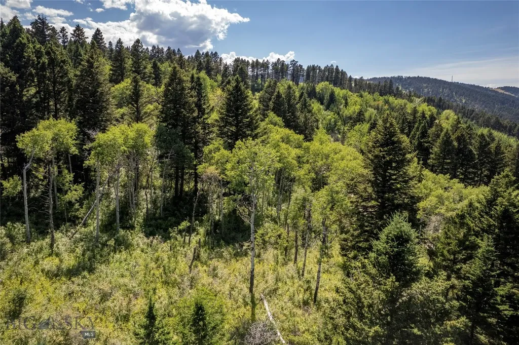 Tbd Livingston Peak Road Livingston MT 59047