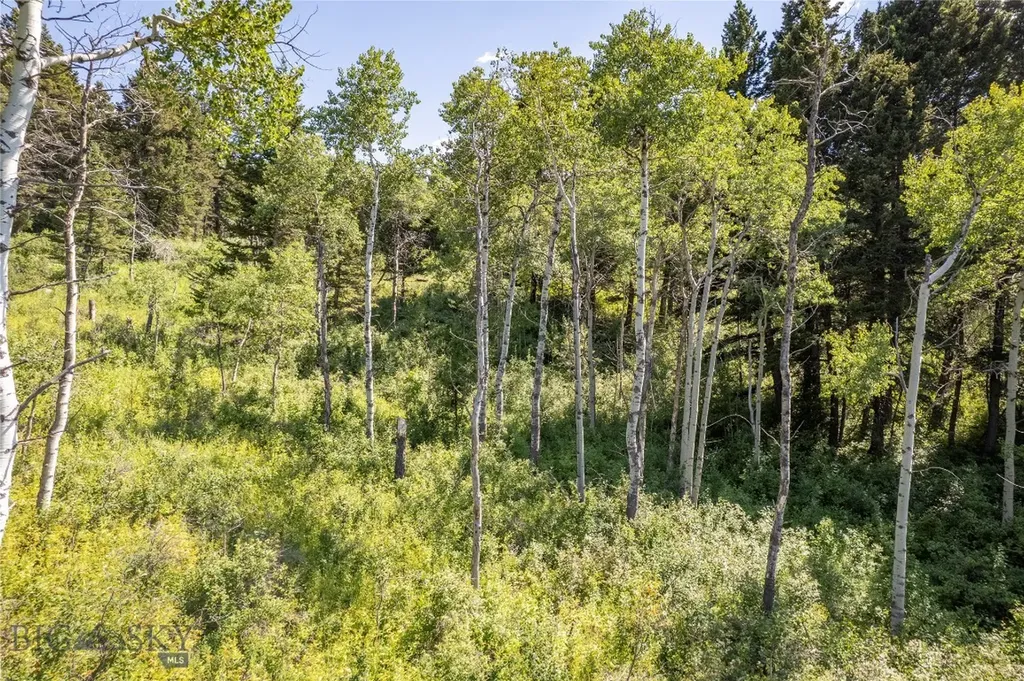Tbd Livingston Peak Road Livingston MT 59047