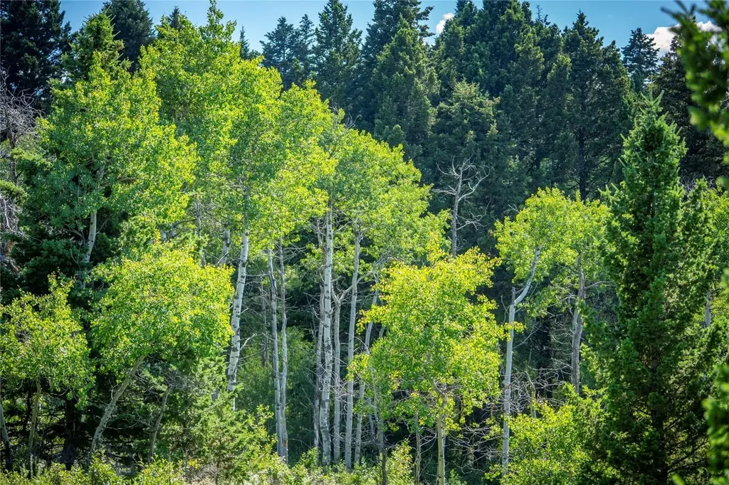 Tbd Livingston Peak Road Livingston MT 59047