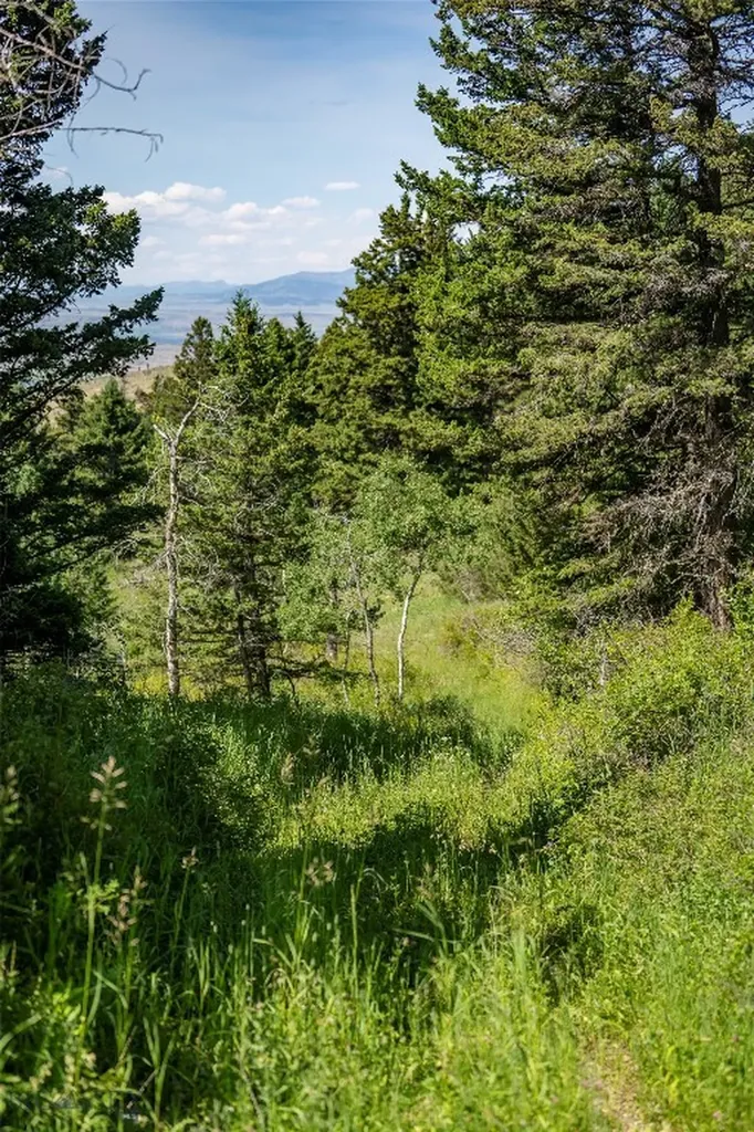 Tbd Livingston Peak Road Livingston MT 59047
