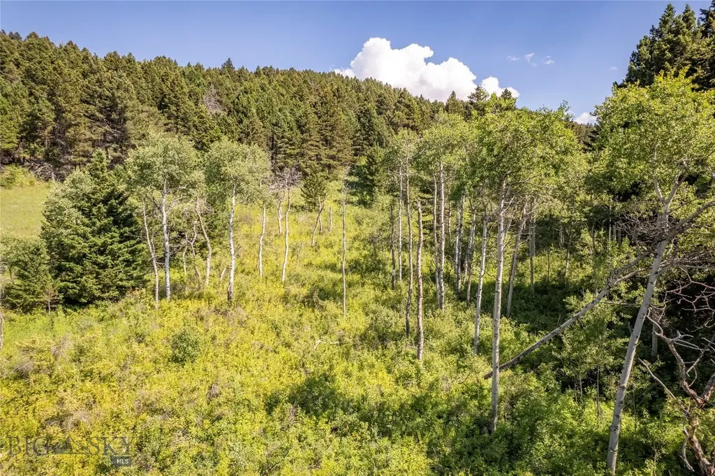 Tbd Livingston Peak Road Livingston MT 59047