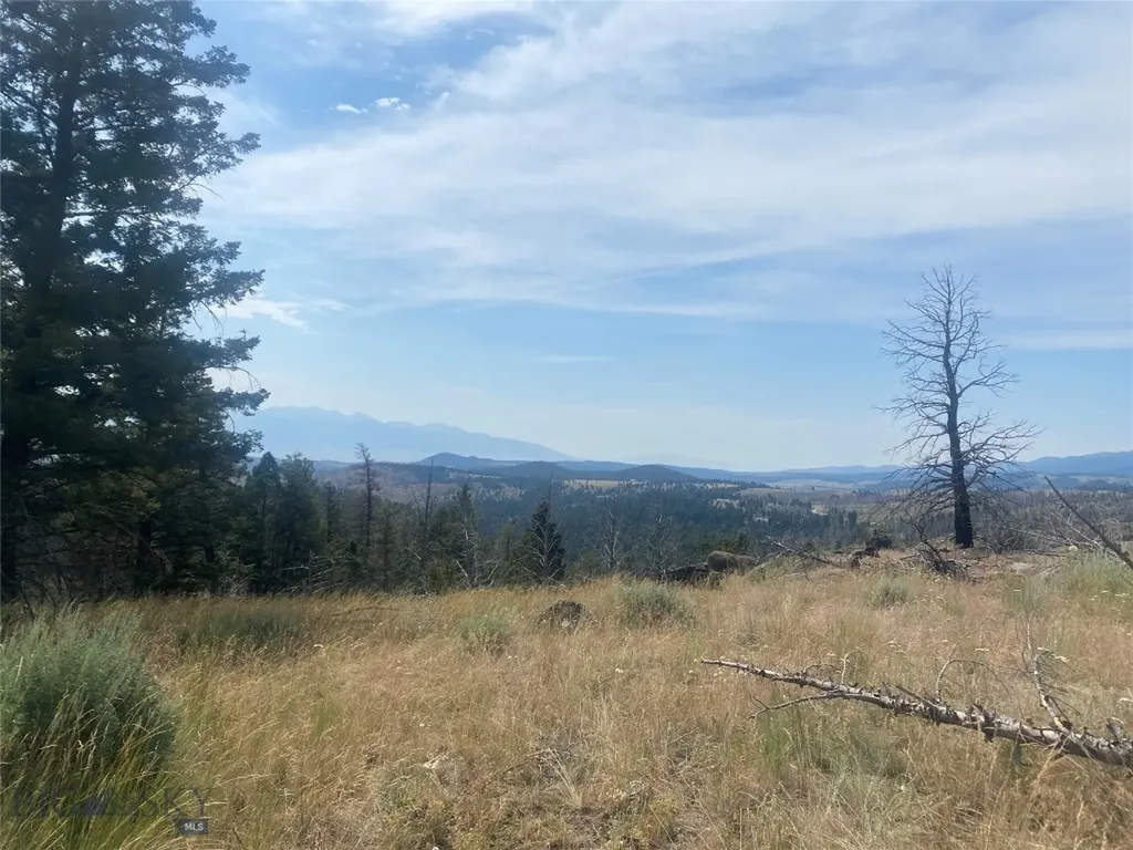 Tbd Whiskey Gulch Road Whitehall MT 59759