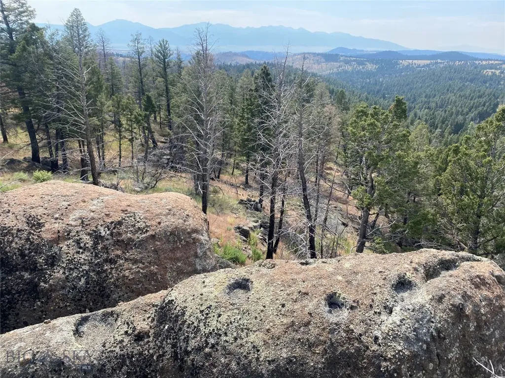 Tbd Whiskey Gulch Road Whitehall MT 59759
