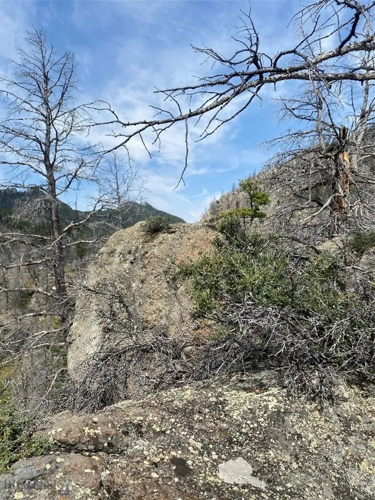 Tbd Whiskey Gulch Road Whitehall MT 59759
