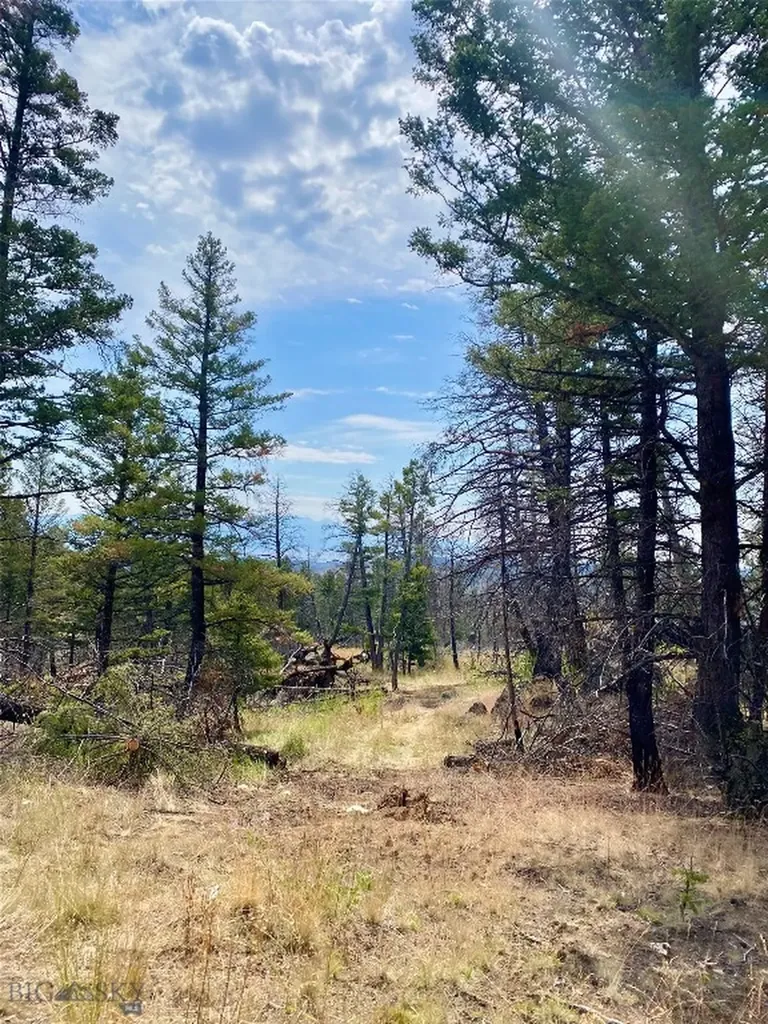 Tbd Whiskey Gulch Road Whitehall MT 59759