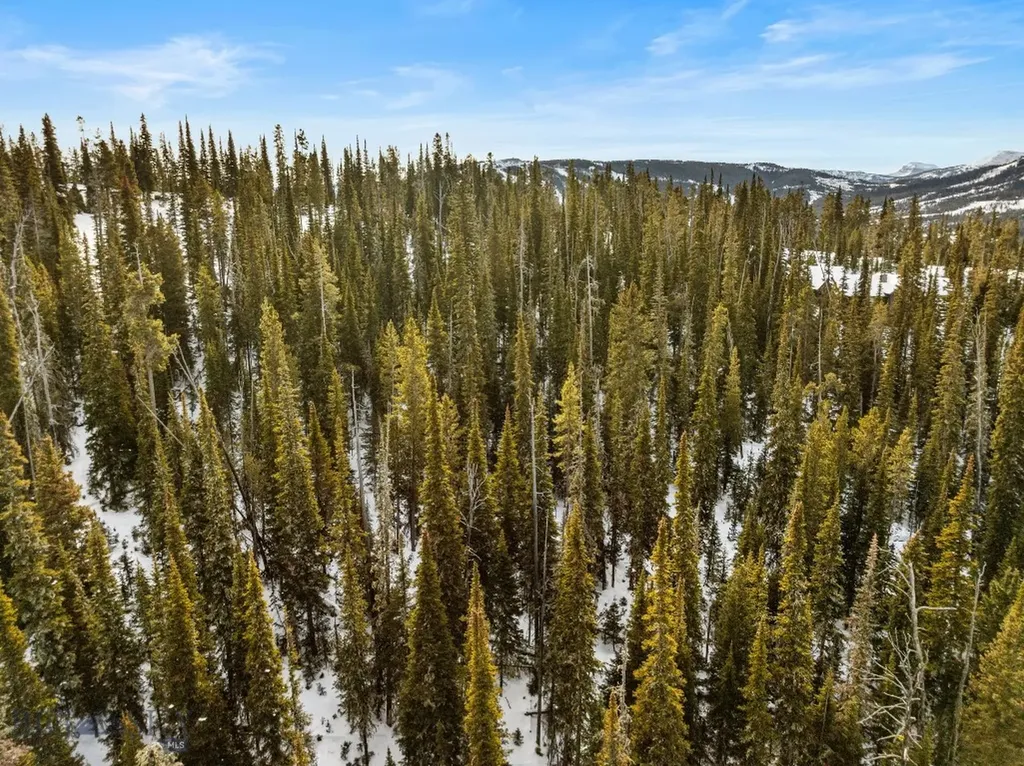 Tbd White Butte Road Big Sky MT 59716