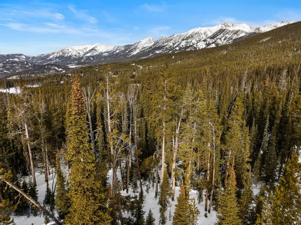 Tbd White Butte Road Big Sky MT 59716