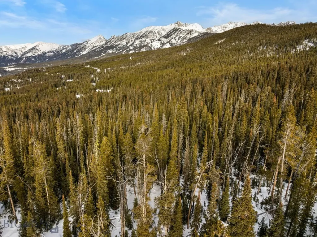 Tbd White Butte Road Big Sky MT 59716